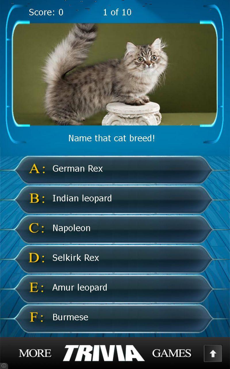 Name that Cat Breed Trivia