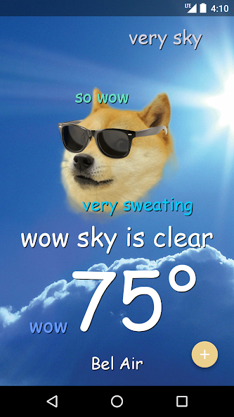 Weather Doge