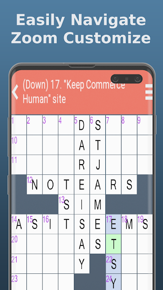 Crossword Daily: Word Puzzle