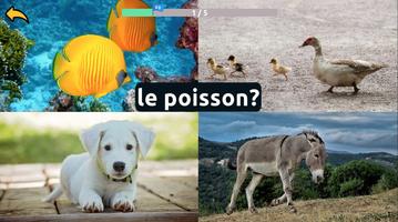 Learn Animals in French