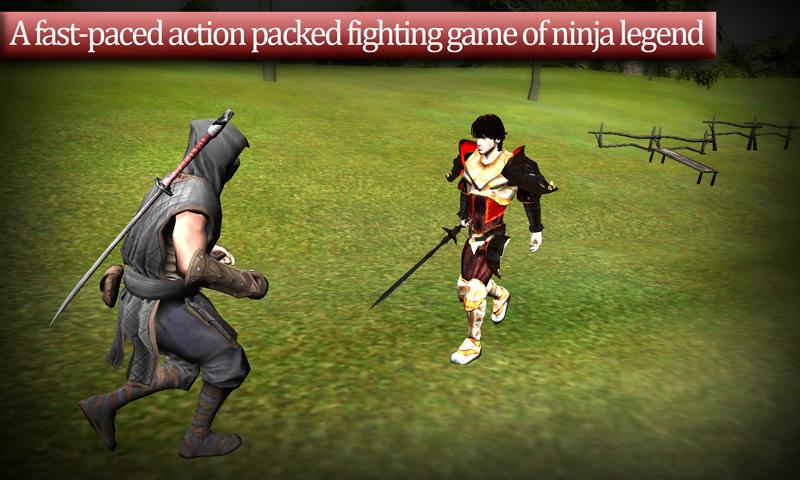 The last Ninja Assassinator