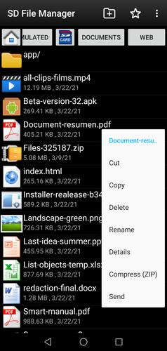 SD File Manager