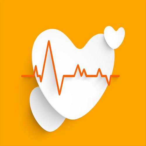 Heartbeat Cardiograph