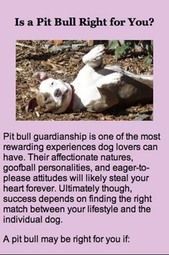 Our Pack's Pit Bull App