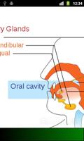 Human Anatomy (Spotting)