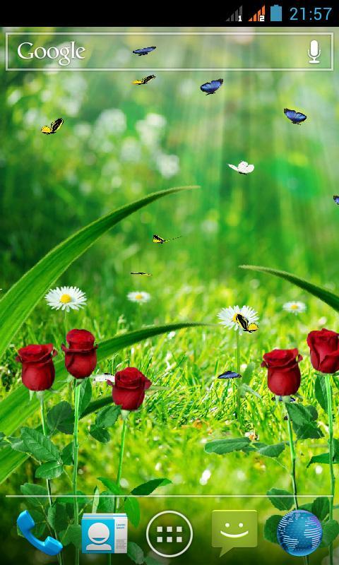 Summer Garden Live Wallpaper