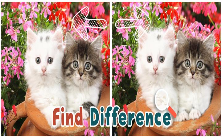 Find 5 Difference : Cats