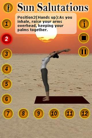 Sun Salutations