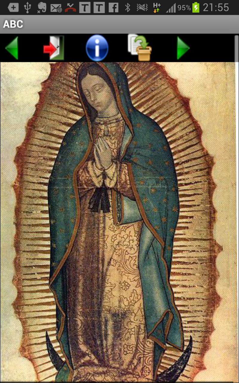 Virgen Guadalupe en el mundo