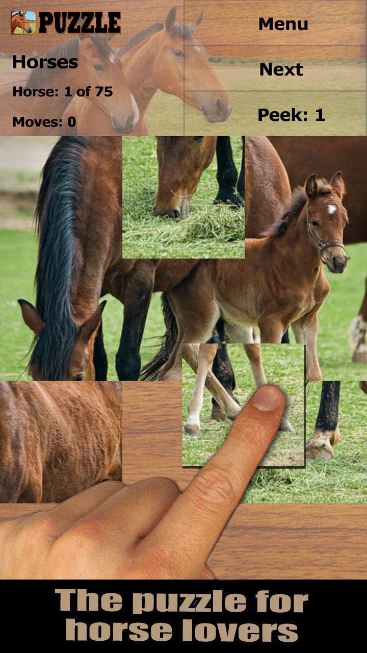 Horses jigsaw puzzles (FREE)