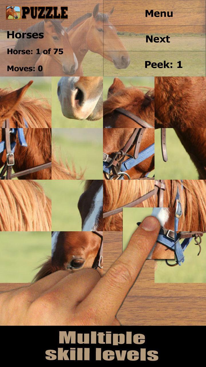 Horses jigsaw puzzles (FREE)