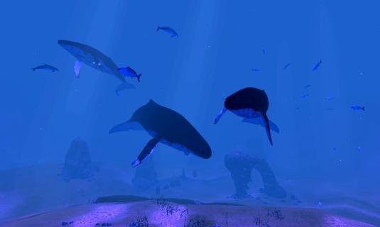 Whale song VR