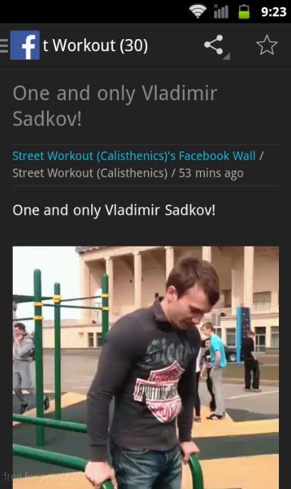 Street Workout Calisthenics