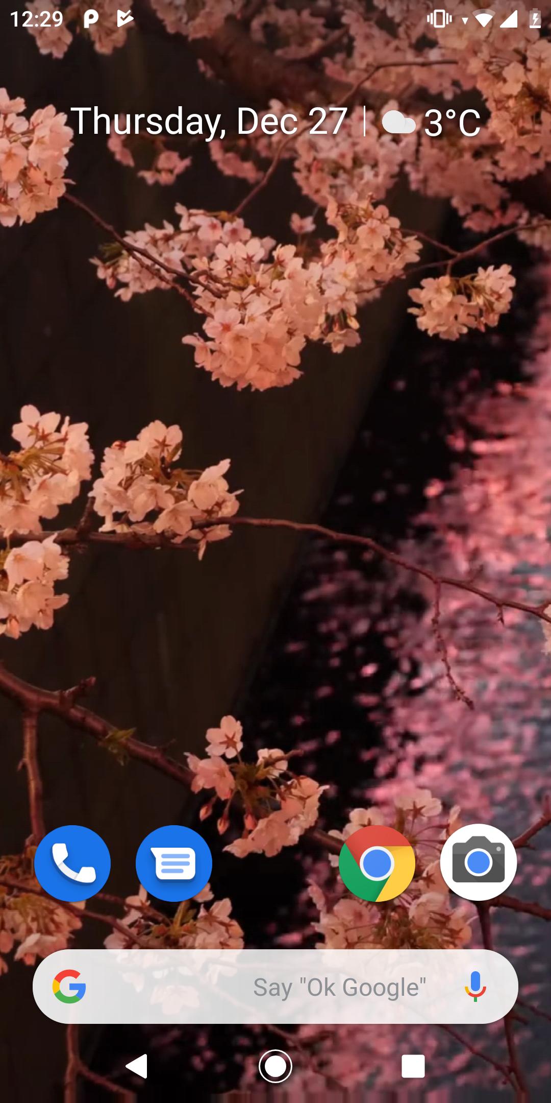 Japanese Sakura Garden Video W