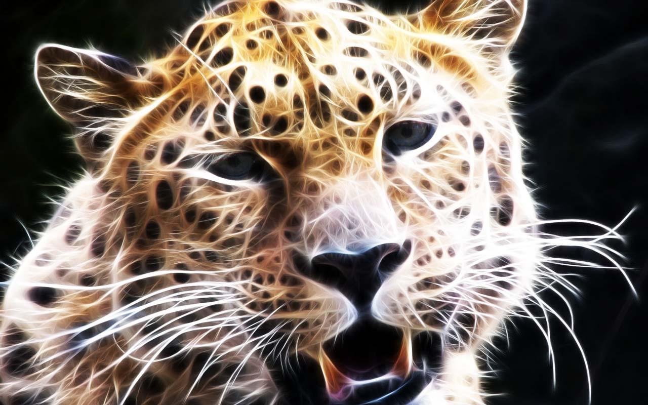 Leopard 3D