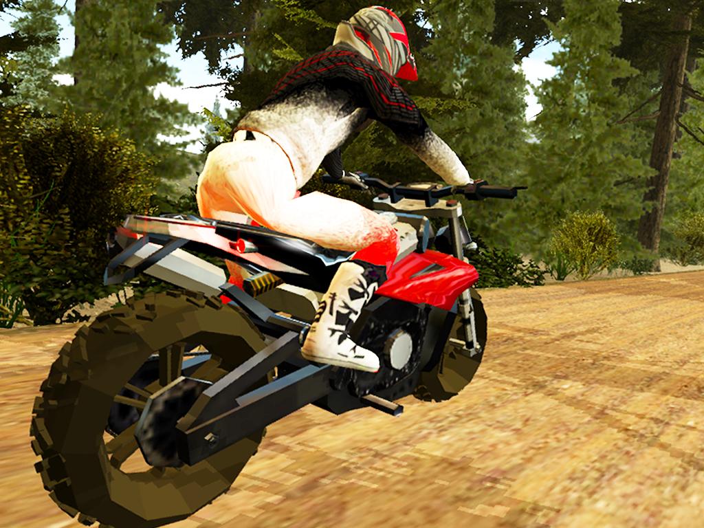 Trail Bike Extreme Stunt Rider