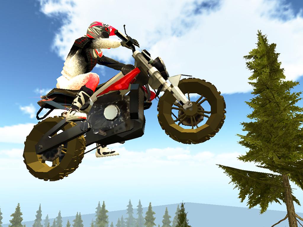 Trail Bike Extreme Stunt Rider