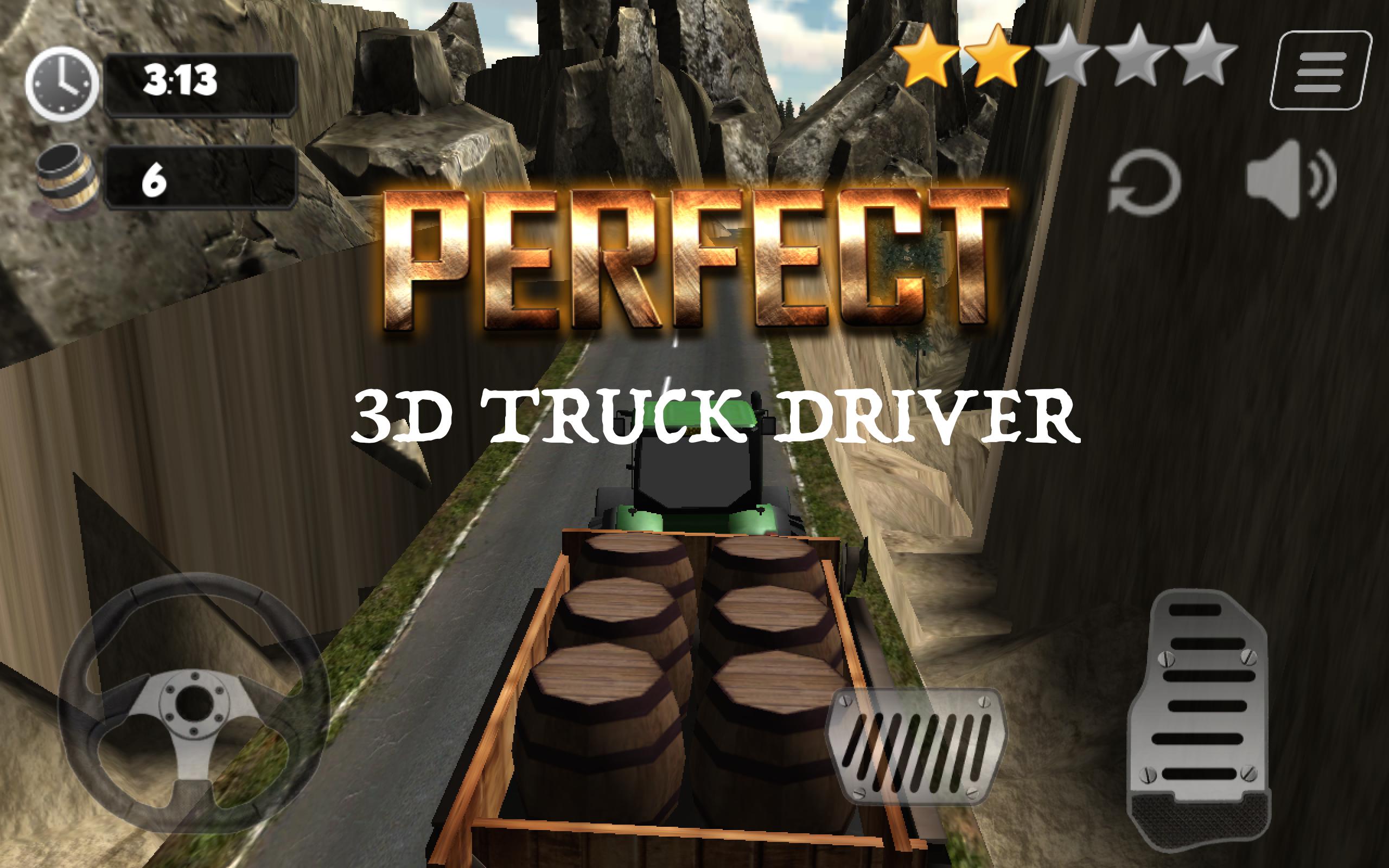 3D Truck Driver