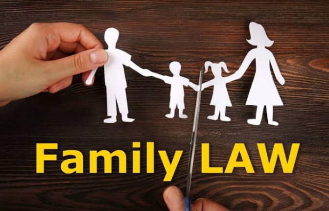 Family Law Books offline