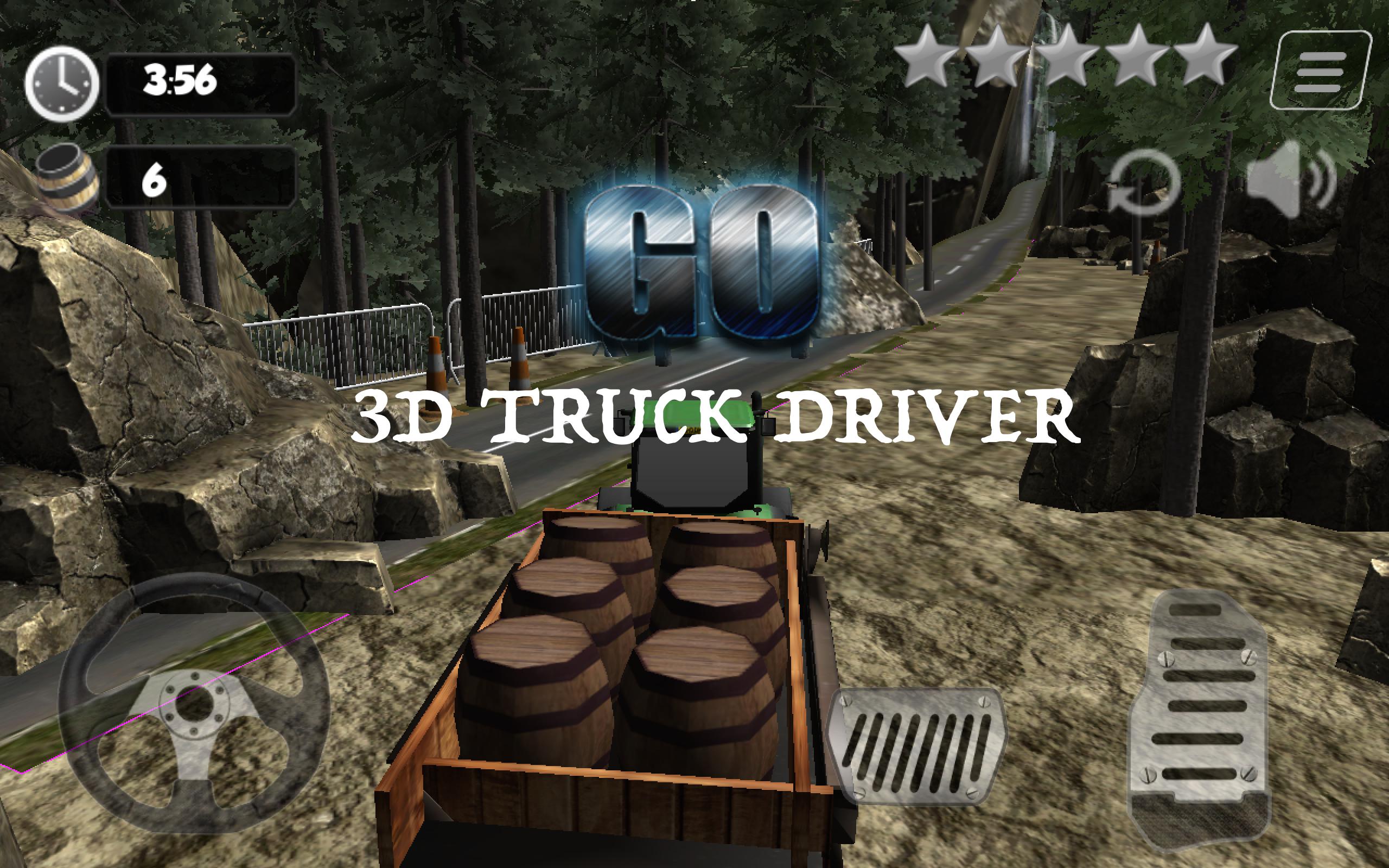 3D Truck Driver