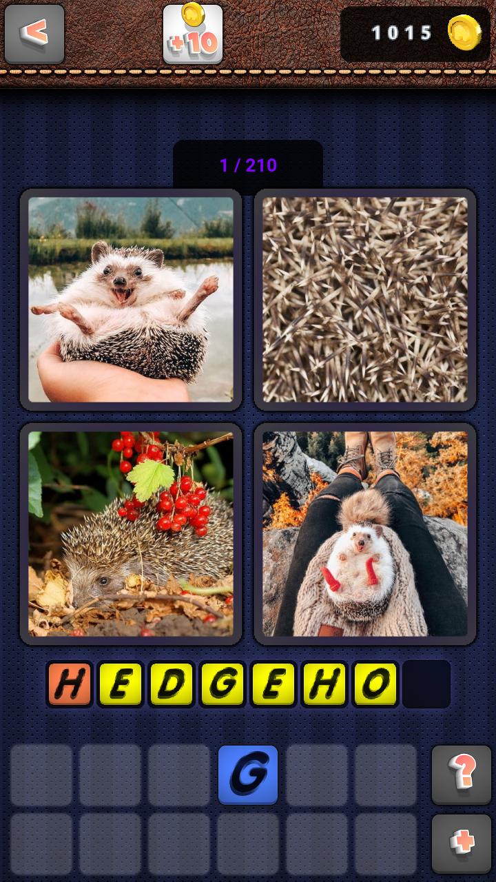 What word on the photo