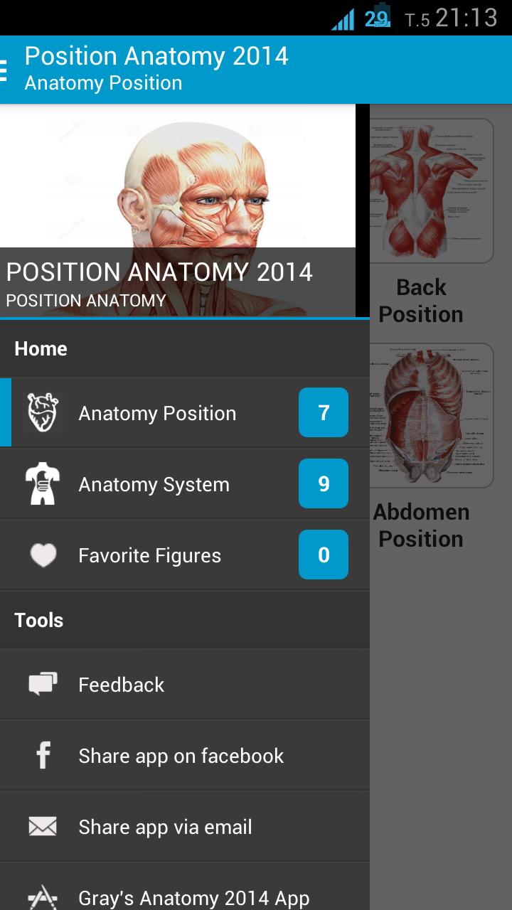 Human Anatomy Position