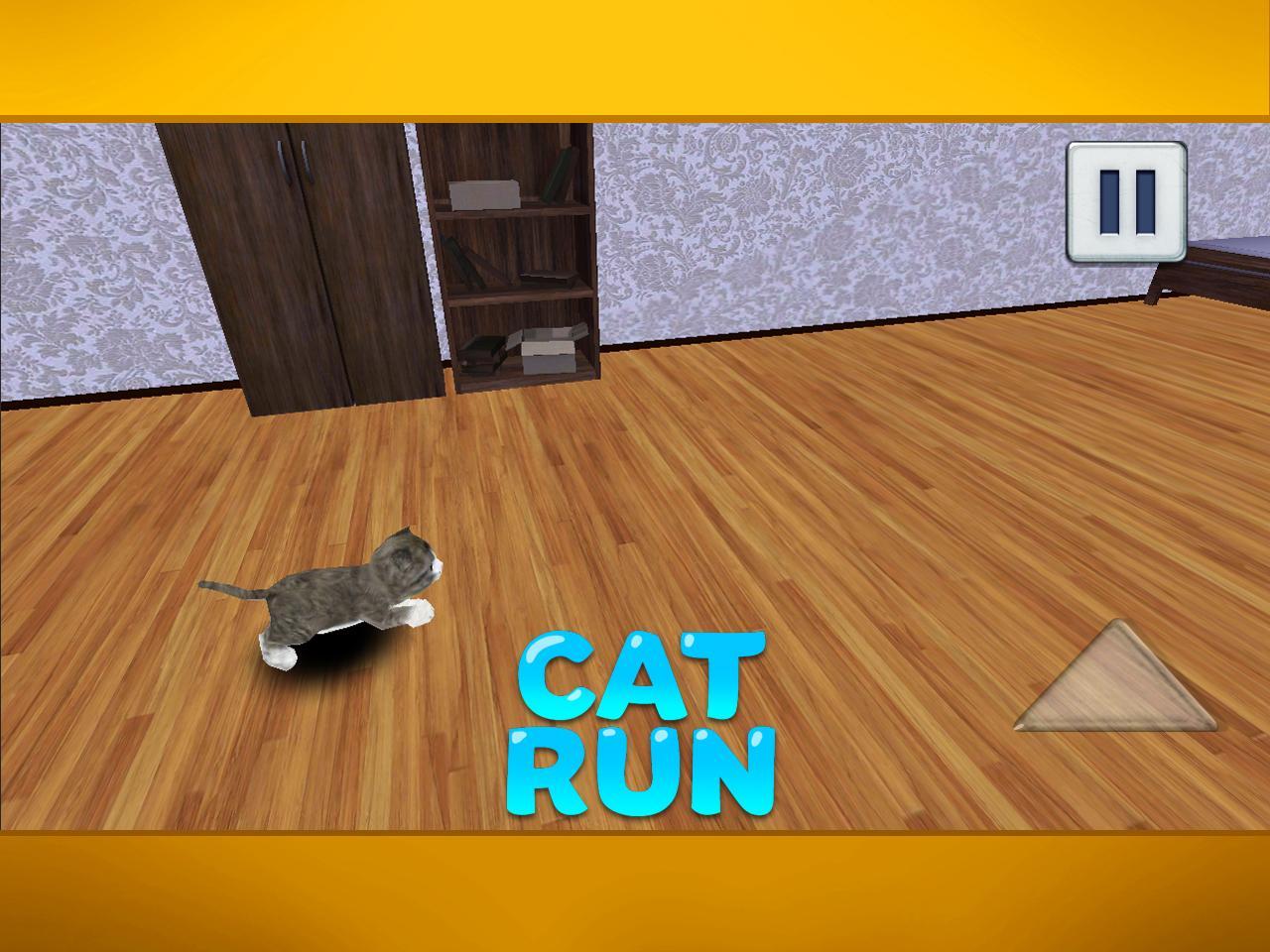 Cat Run