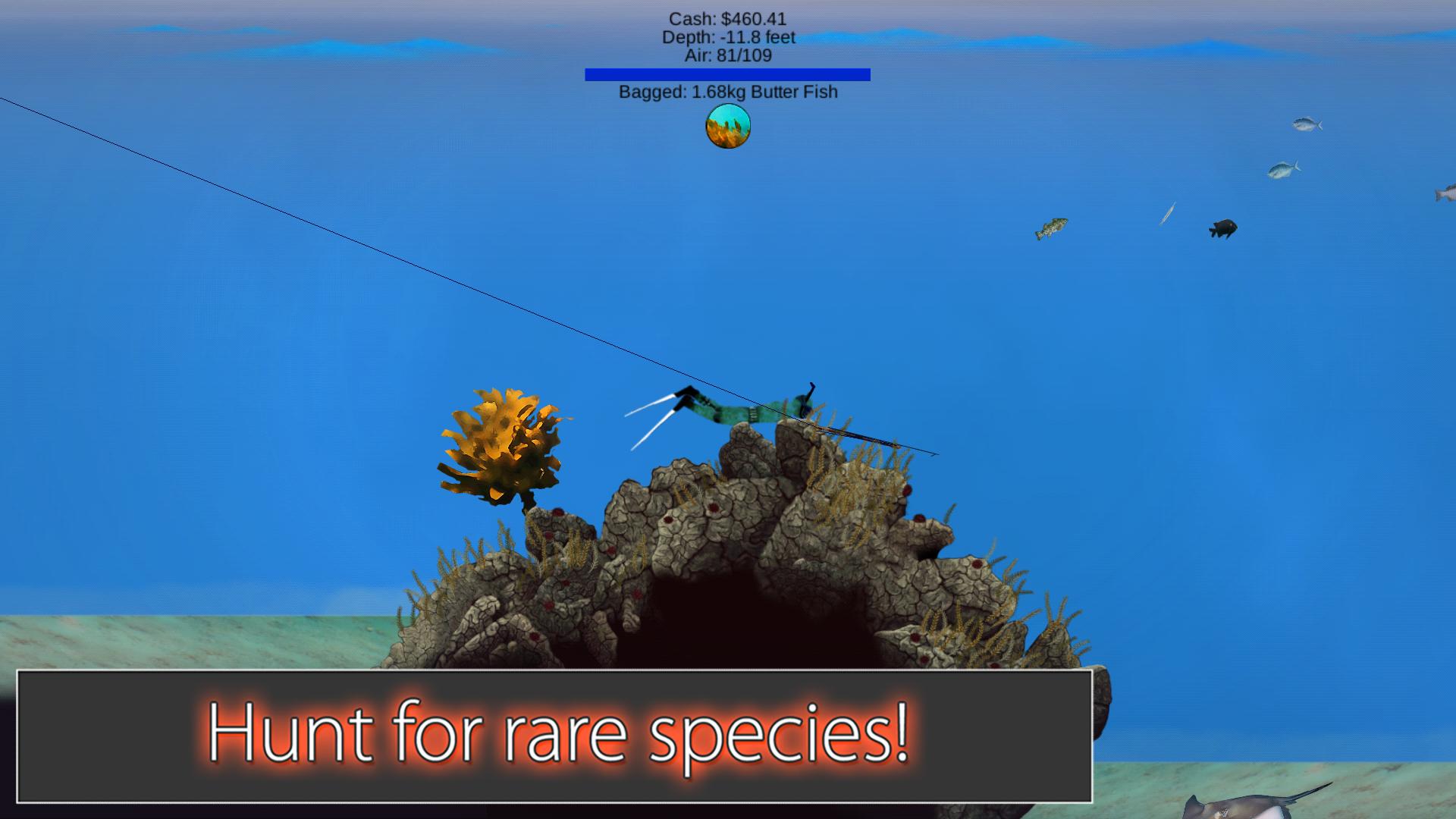 Spearfishing - Pocket Diver