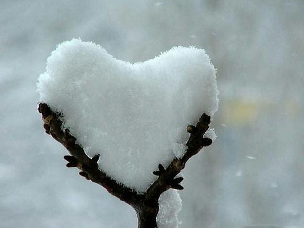 Nature Love Images