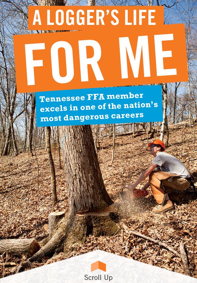 FFA New Horizons