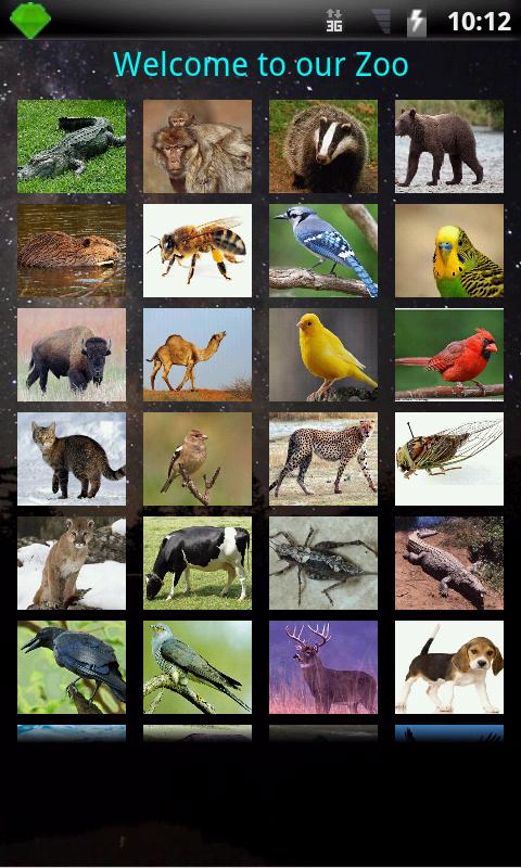 WORLD OF ANIMALS