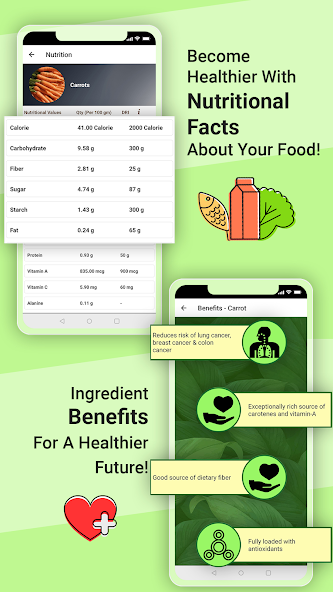 Chinese Food Recipes Offline
