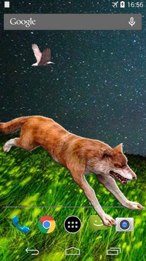 Wild Wolf 3D