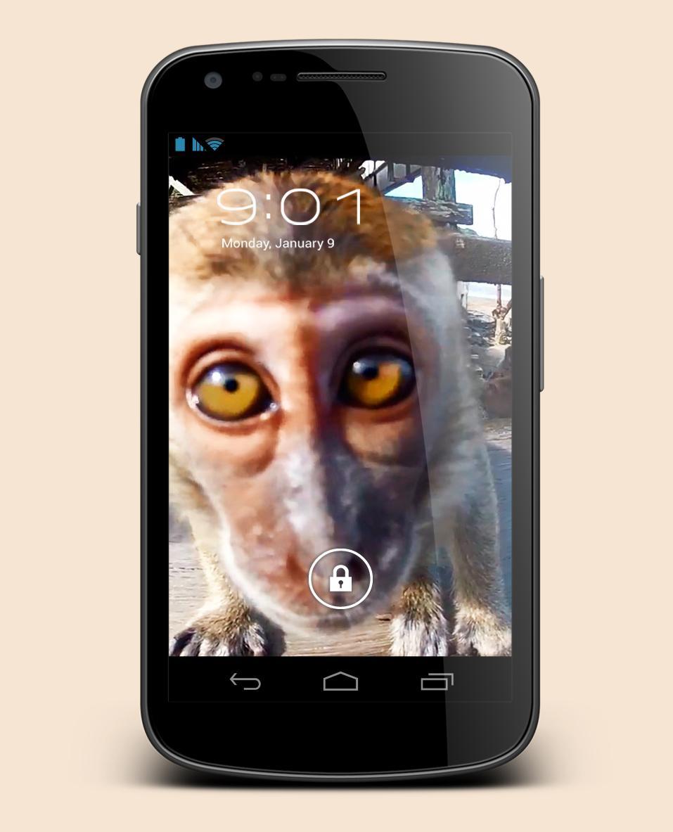 Monkey Sees You Live Wallpaper