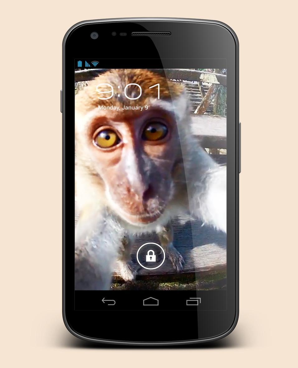 Monkey Sees You Live Wallpaper