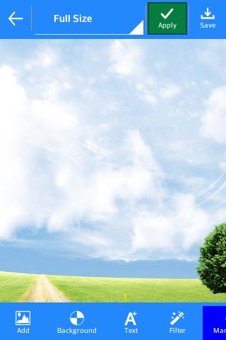 Full size Wallpaper