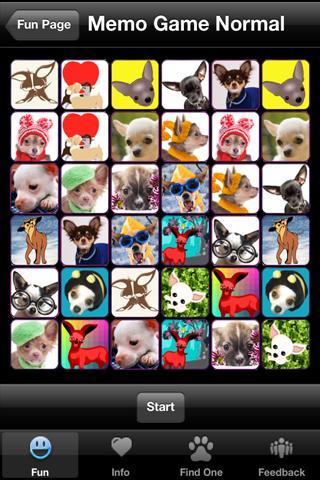 Chihuahua+ Free