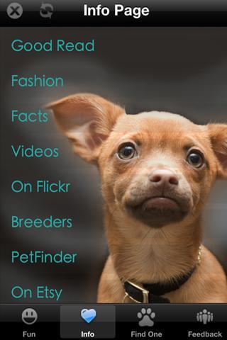 Chihuahua+ Free