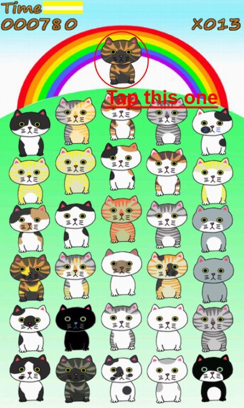 Finding Cat