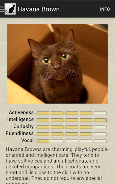 Cat Breeds