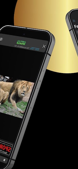 IPTV Streamer