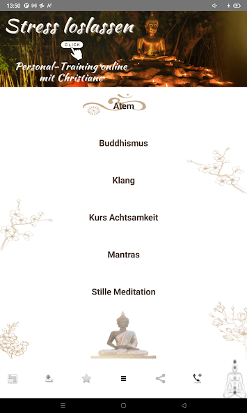 Meditation Trainer