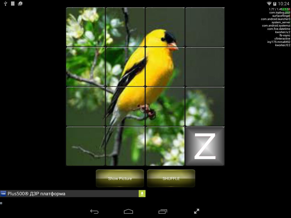Picture Puzzle