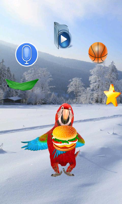 Amazing Talking Parrot