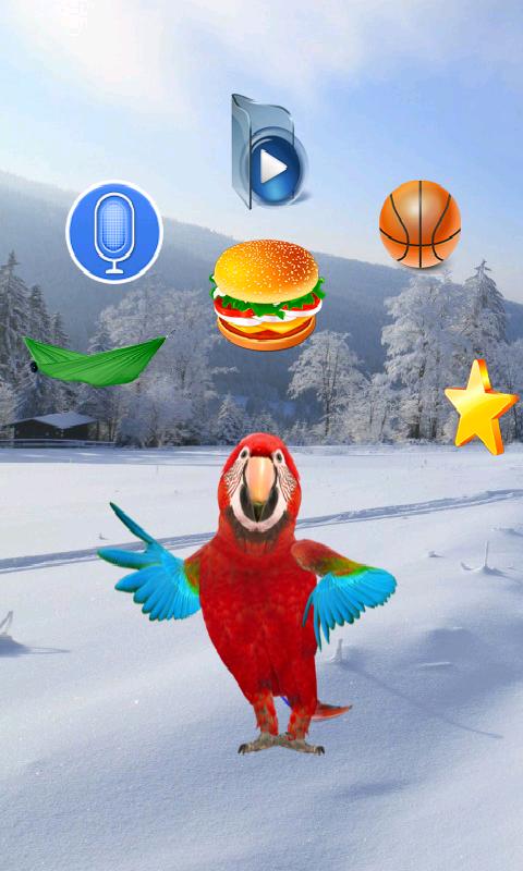 Amazing Talking Parrot
