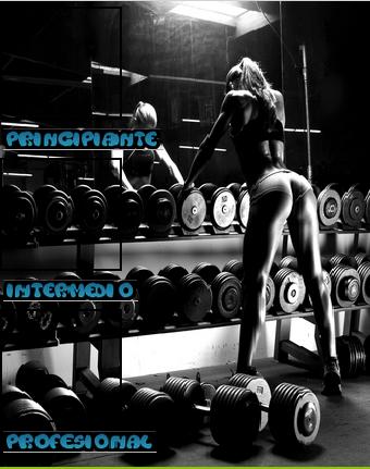 Tablas Gym