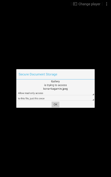 Secure Storage