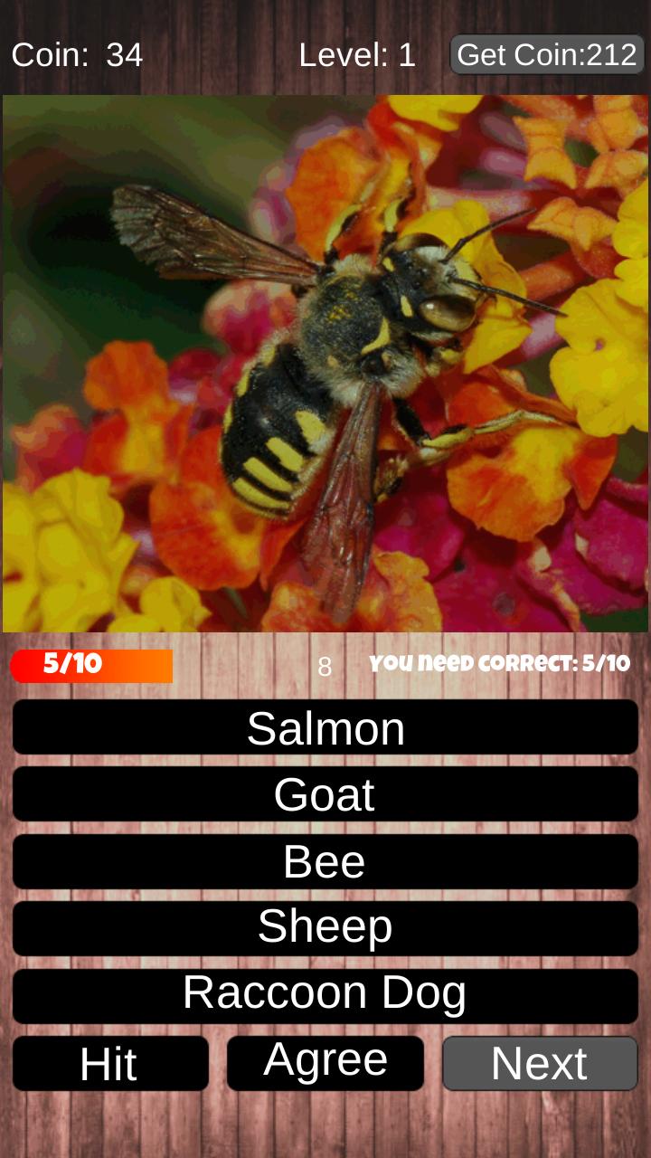 Animal Quiz DC