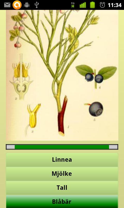 Svea Flora (Free)