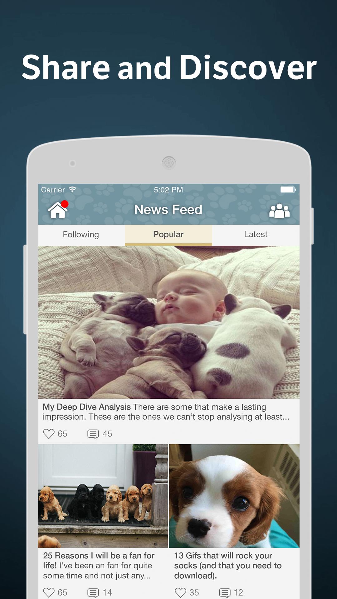 Dogs Amino